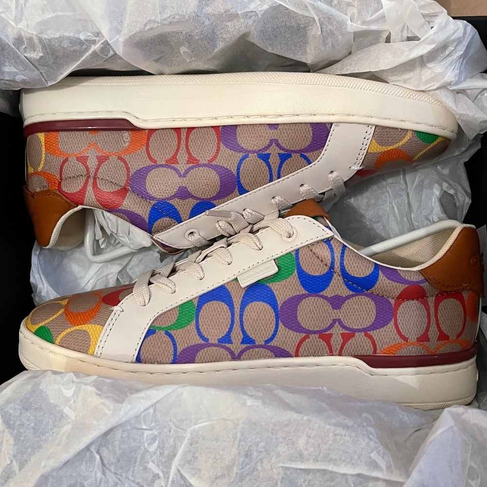 Lowline Low Top Sneaker In Rainbow Signature Canvas